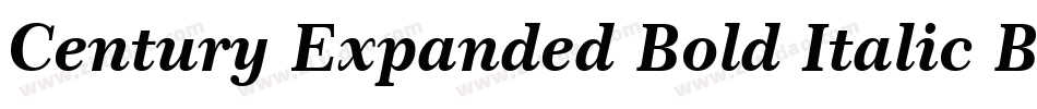 Century Expanded Bold Italic BT字体转换